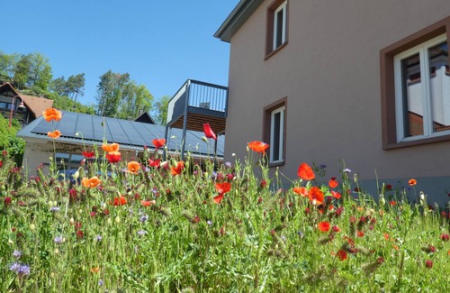 Fischbach bei Dahn Apartment | 180 m² Apartment ∙ 4 bedrooms ∙ 8 guests
