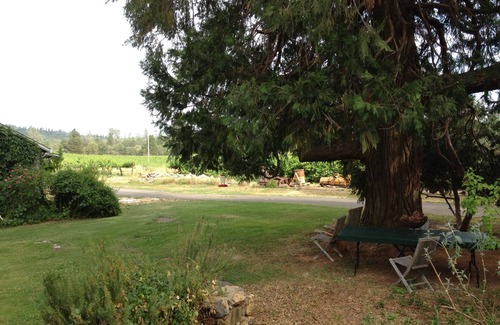 Mariposa Cottage | 1893 vineyard cottage at the gateway to Yosemite.