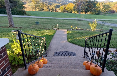 Alleghany County House | 1945 Farmhouse Charmer This is What You Come to the Country for! 12 mins Sparta