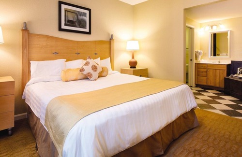 Ocean Drive Resort | 1Bed/1Bath in Myrtle Beach Heaven! Cozy Oceanfront Resort!