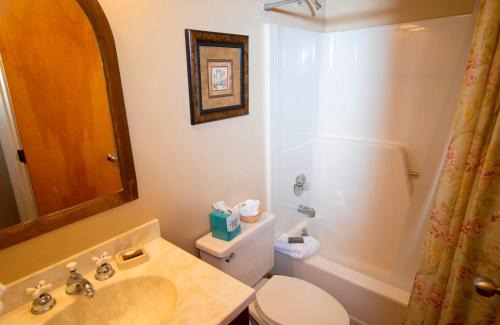 Ludlow Apartment | 1Br Ski-in, Ski-Out at Okemo Mountain Lodge condo