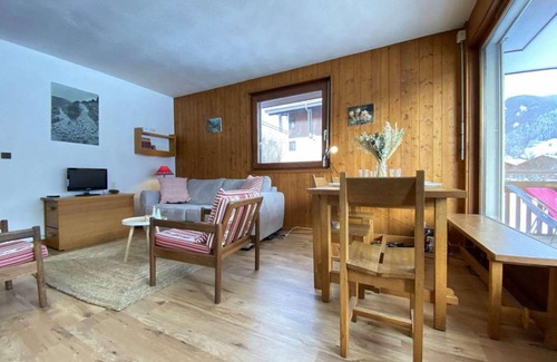 Praz-sur-Arly Apartment | 1st floor, view open, tv, ski locker, 41m², Praz sur Arly