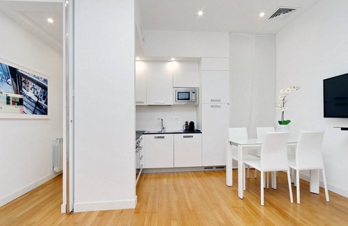 Rione IV Campo Marzio Apartment | 2 Apartments in the same building Piazza del Popolo 1+2