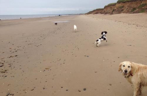 Bridlington House | 2 Bed Cottage - Sleeps 4 Dog Friendly Garden