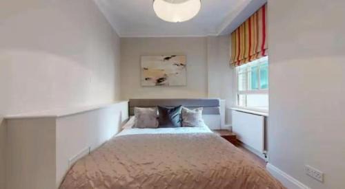 Mayfair Apartment | 2 Bed Flat In Mayfair Central London 1 Minute Walk To Oxford Circus and Green Park Station