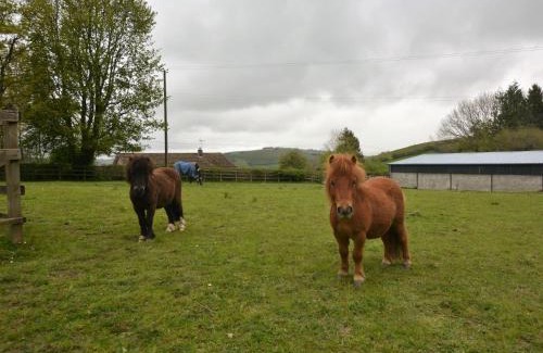 Presteigne House | 2 Bed in Presteigne 75066