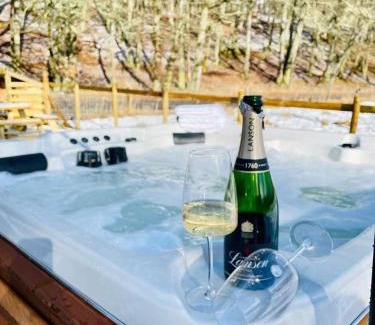 Stirling House | 2 bed lodge with private hot tub in Aviemore
