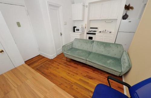 Midtown West Apartment | 2 Bed Sunny Apartment Midtown Furnished Wifi