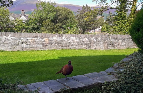 Keswick Cottage | 2 bedroom accommodation in Keswick