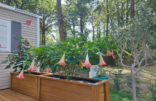 Marcilly-sur-Eure House | 2 bedroom private vacation home in marcilly-sur-eure