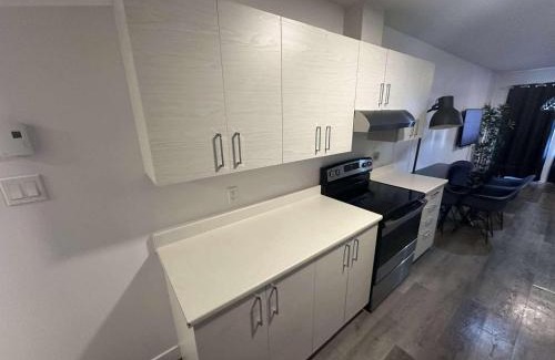 Longue-Pointe Apartment | 2 bedrooms near Hochelaga area - D907