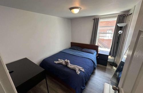 Longue-Pointe Apartment | 2 bedrooms near Hochelaga area - D907