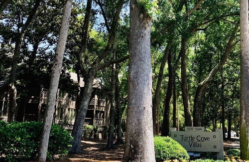 Kiawah Island Condo | 2 BR Turtle Cove Villa - Walk to Beach - Resort Privileges