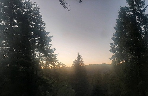 Prescott Cabin | 2 Cabins for the price of one! Secluded & Cozy!