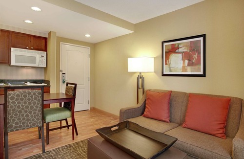 Tampa Apartment | 2 Connecting Suites at a Hotel