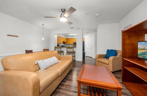Bearss Plaza Apartment | 2 MI to USF! Pet Friendly! Pool and Gym!