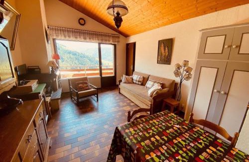La Clusaz Apartment | 2 pièces cabine sans prétention avec balcon et parking - FR-1-459-47