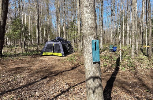 Beulah RV Rental | #2 Private Wooded Campsite for Tents or Small RV's