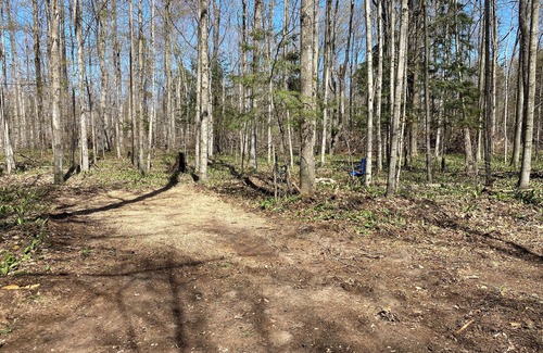 Beulah RV Rental | #2 Private Wooded Campsite for Tents or Small RV's