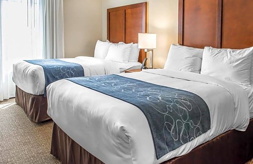 Dale City Hotel | 2-Star Hotel ∙ Comfort Suites Near Potomac Mills