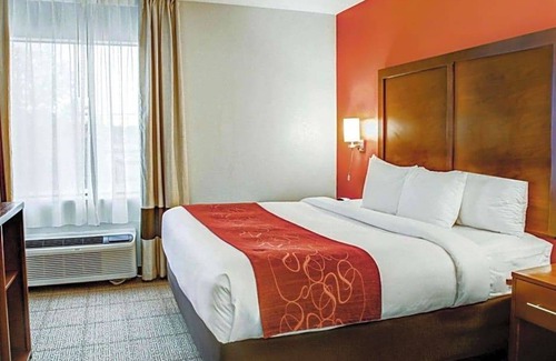 Tyler Hotel | 2-Star Hotel ∙ Comfort Suites Tyler South