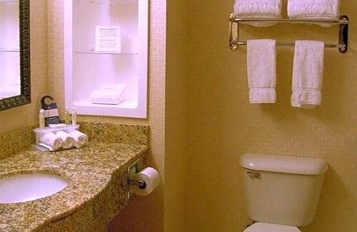 Rochester Hotel | 2-Star Hotel ∙ Holiday Inn Express Hotel & Suites Rochester, an IHG Hotel