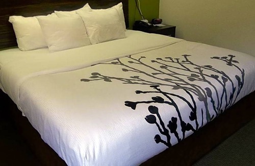 Bryson City Hotel | 2-Star Hotel ∙ Sleep Inn Bryson City Cherokee