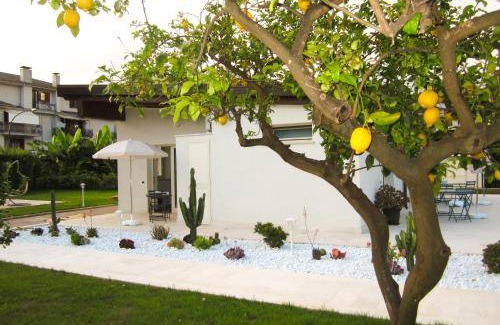 Fondi Bed & Breakfast | 20 m² Bed and breakfast ∙ 2 guests