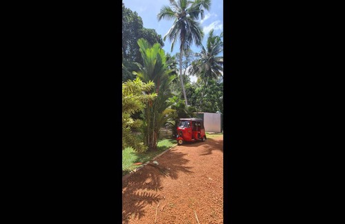 Bentota Cabin | 20 m² Private room ∙ 1 bedroom ∙ 4 guests