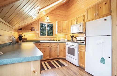 Island Park Cabin | 20 Minutes to West Yellowstone. A 2 block walk to the Henry Fork.