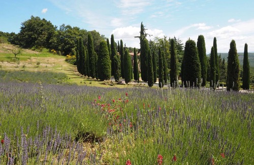 San Gimignano Apartment | 200 m² Apartment ∙ 3 bedrooms ∙ 6 guests