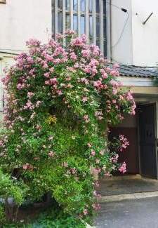 Chisinau Apartment | 24 на 24, 2 спальни - аэропорт