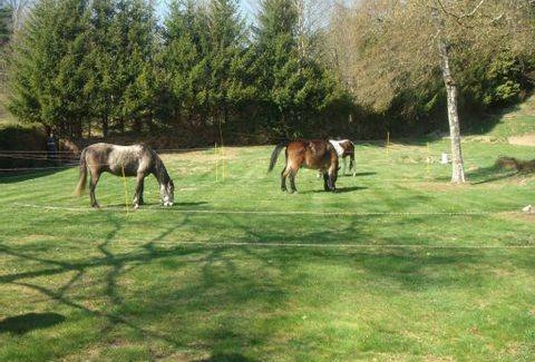 Le Chambon-sur-Lignon RV Rental | 240 ft² Mobile home