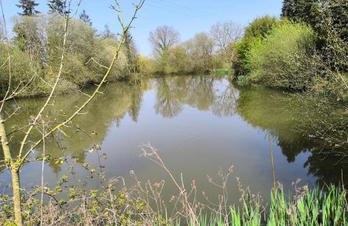Le May-sur-Evre House | 25 min du Puy du F, en sortant de Cholet