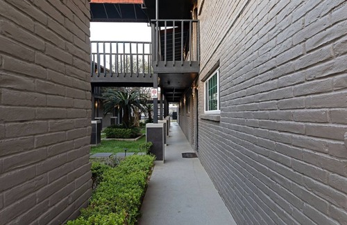 MacGregor Apartment | 2BR The TMC Flats 10! Hermann Park! Zoo! ⭐️⭐️⭐️⭐️⭐️