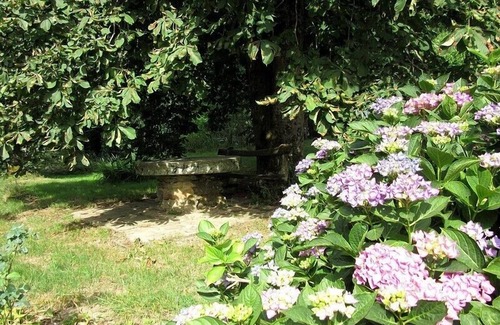 Vabre House | 3 Bedrooms Private Vacation Home In Montredon-Labessonnié