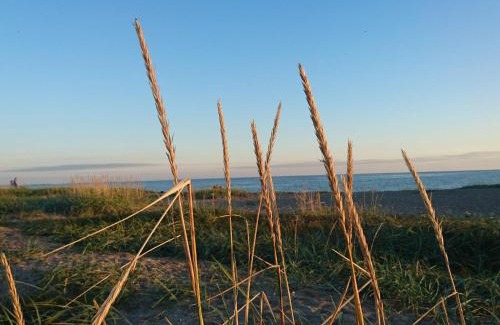 Karrebksminde House | 3 person holiday home in Karrebæksminde-By Traum