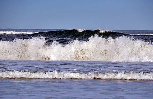 Newport Hotel | 3-Star Hotel ∙ Best Western Plus Agate Beach Inn