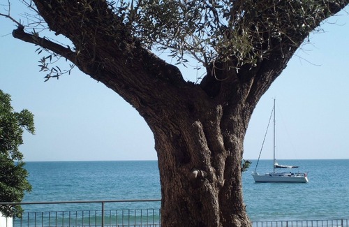 Alassio Apartment | 30 METERS SEA NEW TRILO DOUBLE SERVICES LARGE BOX 100 METERS