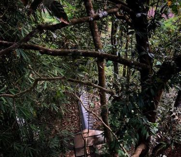 Vayittiri House | 300 Hills Fort