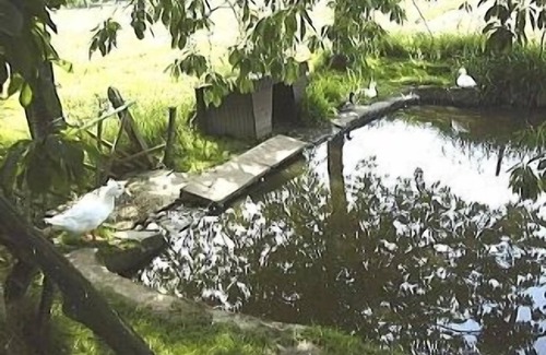 Louvigne-du-Desert Other | 300 Yr Old Breton Farmhouse In Tranquil Location With Heated Swimming Pool