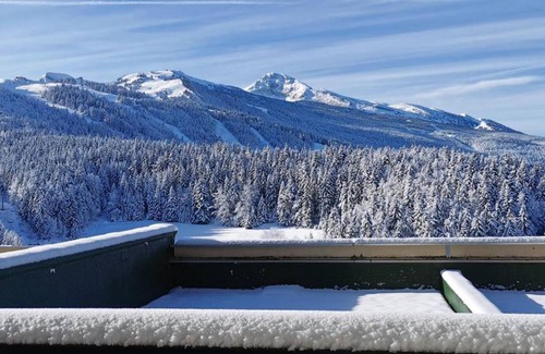 Villard-de-Lans Apartment | 31 m² Studio flat ∙ 1 bedroom ∙ 4 guests