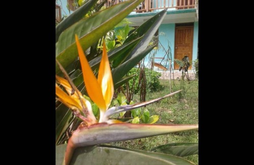 Bartolome Maso Cabin | 32 m² Private room ∙ 1 bedroom ∙ 4 guests