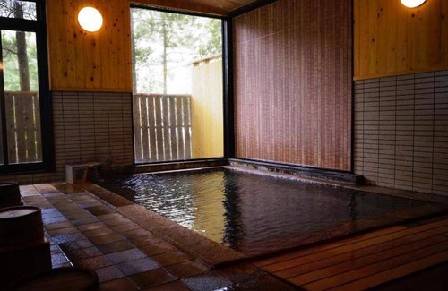 Shiozawa Onsen Hotel | 33 m² Hotel ∙ 11 guests