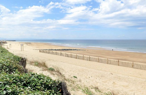 Soorts-Hossegor Apartment | 34 m² Apartment ∙ 1 bedroom ∙ 5 guests