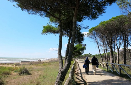 Bibione Apartment | 35 m² Apartment ∙ 1 bedroom ∙ 5 guests