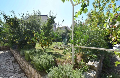 Municipality of Omisalj Apartment | 35 m² Apartment ∙ 4 guests