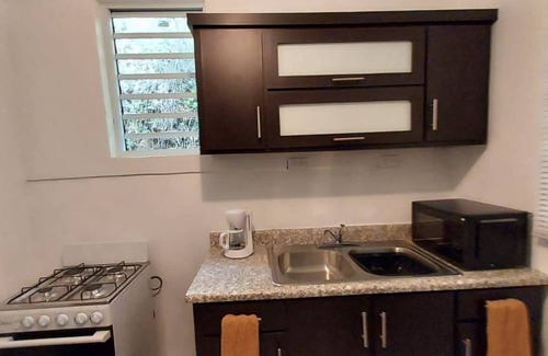 Maguayo Apartment | 36 m² Apartment ∙ 1 bedroom ∙ 2 guests