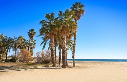 Cambrils Apartment | 37 m² Apartment ∙ 1 bedroom ∙ 4 guests