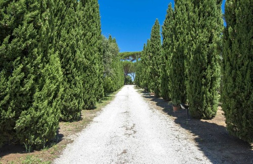 Cecina Apartment | 38 m² Apartment ∙ 1 bedroom ∙ 4 guests